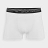 Труси-боксери BOXER SHORTS M051 (2PACK) 4FWMM00UBXSM051-10S 4F 4FWMM00UBXSM051-10S