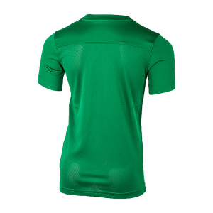 Футболка ігрова Nike Y NK DF PARK VII JSY SS BV6741-302