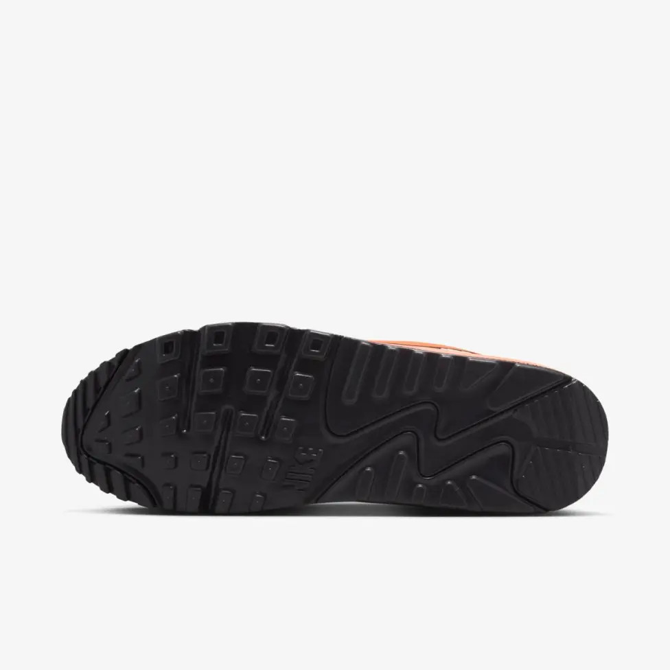 Кросівки Nike AIR MAX 90 DRIFT FB2877-102