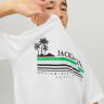 Футболка JORCODY SUMMER TEE SS CREW NECK 12235154-Bright White Jack&Jones L Білий 12235154-BRIGHT WHITE