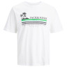 Футболка JORCODY SUMMER TEE SS CREW NECK 12235154-Bright White Jack&Jones L Білий 12235154-BRIGHT WHITE
