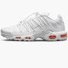Кросівки Nike AIR MAX PLUS UTILITY FJ4232-100