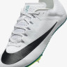 Кросівки Nike ZOOM RIVAL SPRINT FZ9663-102
