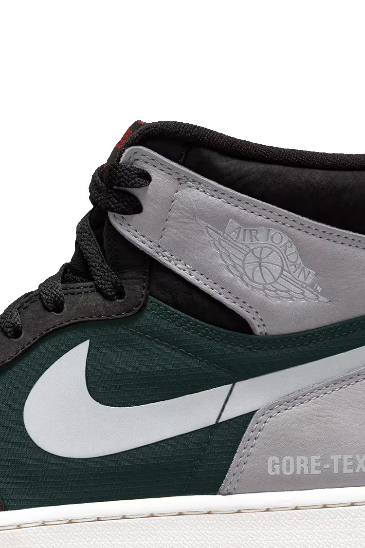 Кросівки Jordan 1 Retro High Element Gore-Tex DB2889-001