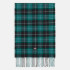 Шарф Dickies STEVENSVILLE SCARF DK0A4Z3HBLK