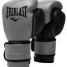 Рукавиці боксерські Everlast POWERLOCK 2R TRAINING GLOVE сірий, чорний Уні 10 унцій P00002304