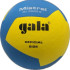 М'яч волейбольний Gala 210 Light 12 BV5555S BV5665S
