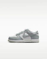 Кросівки Nike DUNK LOW (PSE) FB9108-123