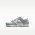 Кросівки Nike DUNK LOW (PSE) FB9108-123