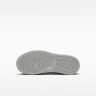 Кросівки Nike DUNK LOW (PSE) FB9108-123
