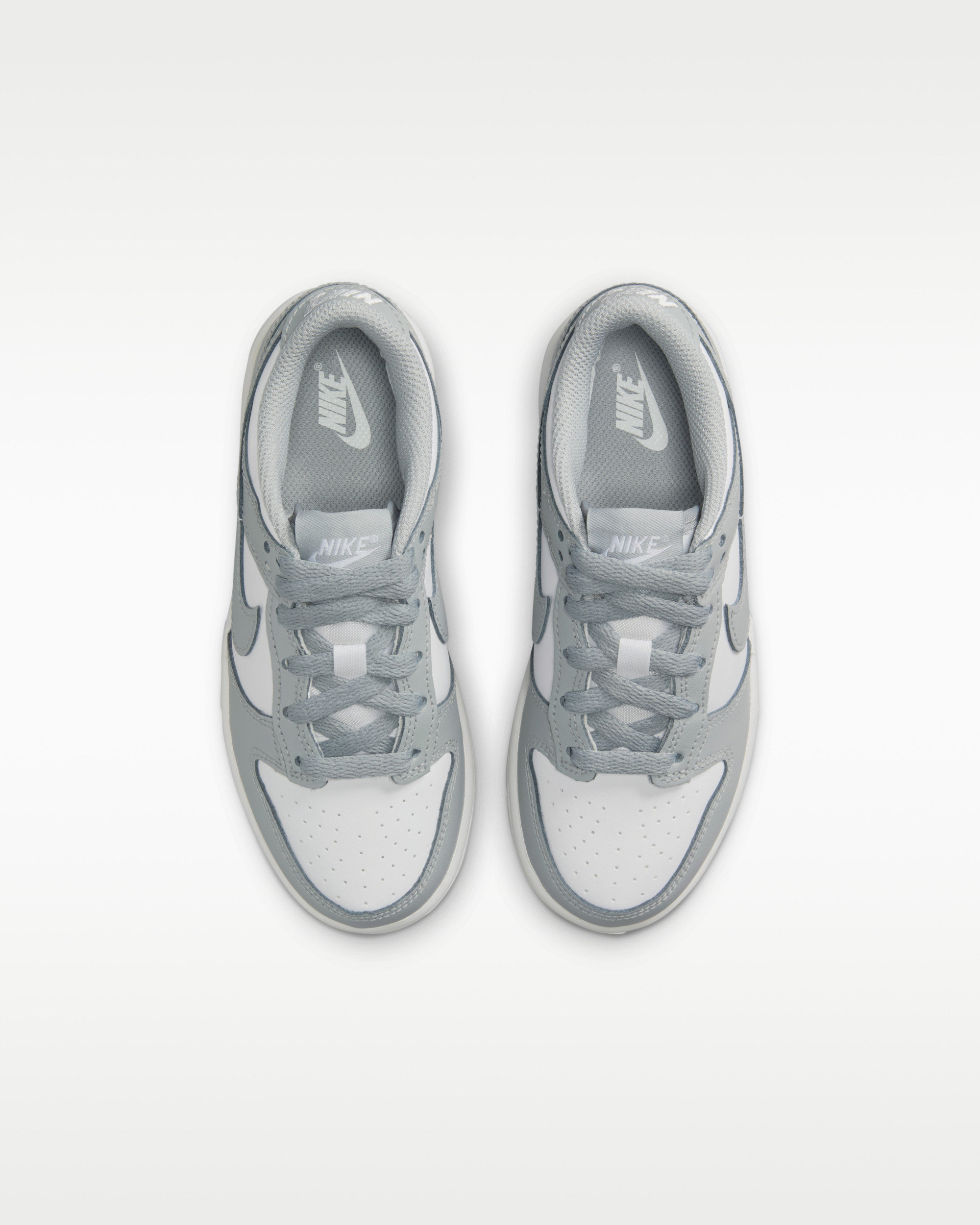 Кросівки Nike DUNK LOW (PSE) FB9108-123