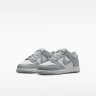 Кросівки Nike DUNK LOW (PSE) FB9108-123
