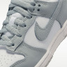 Кросівки Nike DUNK LOW (PSE) FB9108-123