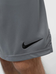 Шорти Nike Dri-Fit DD1887-084