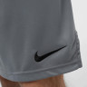 Шорти Nike Dri-Fit DD1887-084