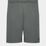 Шорти Nike Dri-Fit DD1887-084