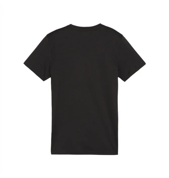 Футболка Puma teamGOAL Jersey Wmn 658638-03