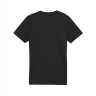 Футболка Puma teamGOAL Jersey Wmn 658638-03
