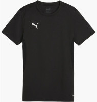 Футболка Puma teamGOAL Jersey Wmn 658638-03