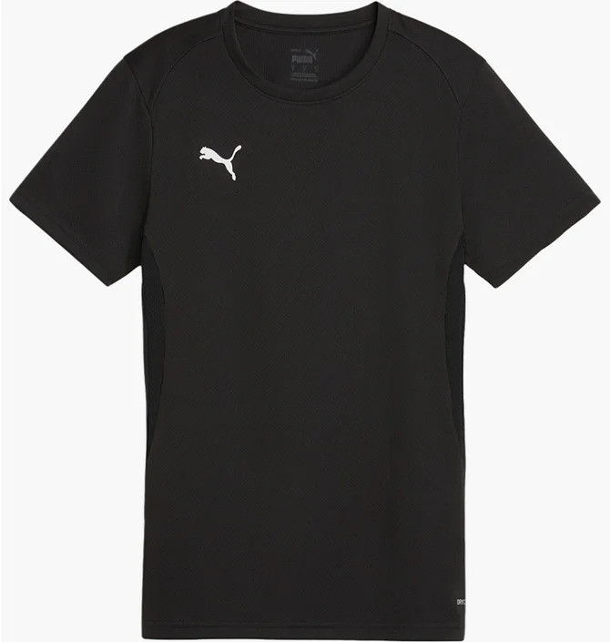 Футболка Puma teamGOAL Jersey Wmn 658638-03