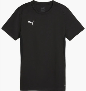 Футболка Puma teamGOAL Jersey Wmn 658638-03