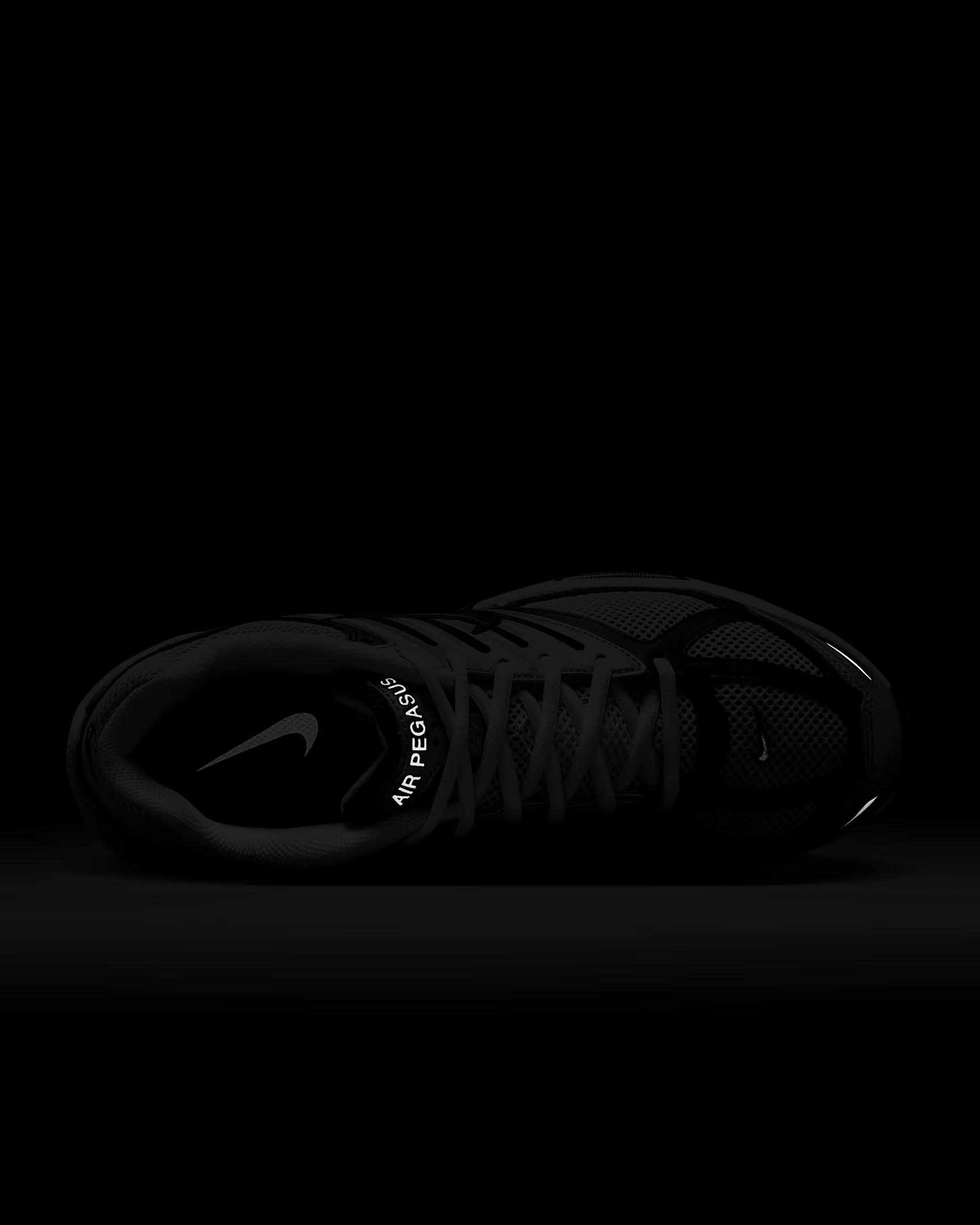 Кросівки Nike AIR PEGASUS 2005 HQ3031-002