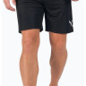 Шорти спортивні Puma teamLIGA Shorts чорний Чол L 704924-03