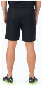 Шорти спортивні Puma teamLIGA Shorts чорний Чол L 704924-03