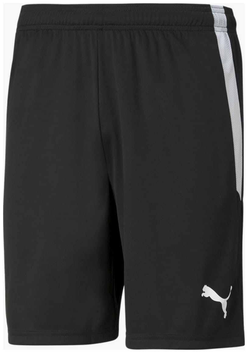 Шорти спортивні Puma teamLIGA Shorts чорний Чол 704924-03