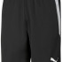Шорти спортивні Puma teamLIGA Shorts чорний Чол 704924-03