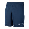 Шорти тренувальні Nike M NK DF ACD21 SHORT K CW6107-451