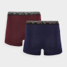 Труси-боксери BOXER SHORTS M051 (2PACK) 4FWMM00UBXSM051-31S 4F 4FWMM00UBXSM051-31S