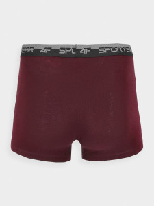 Труси-боксери BOXER SHORTS M051 (2PACK) 4FWMM00UBXSM051-31S 4F 4FWMM00UBXSM051-31S