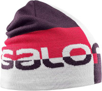 Шапка "Salomon" graphic bean L39509900