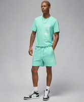 Шорти чоловічі Air Jordan Essentials Fleece Turquoise FN4535-349