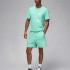 Шорти чоловічі Air Jordan Essentials Fleece Turquoise FN4535-349 Шорти чоловічі Air Jordan Essentials Fleece Turquoise FN4535-349