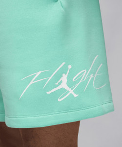 Шорти чоловічі Air Jordan Essentials Fleece Turquoise FN4535-349