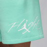 Шорти чоловічі Air Jordan Essentials Fleece Turquoise FN4535-349