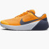 Кросівки Nike Air Zoom tr 1 DX9016-706