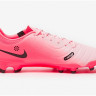 Бутси Nike LEGEND 10 ACADEMY FG/MG DV4337-601