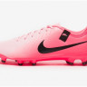 Бутси Nike LEGEND 10 ACADEMY FG/MG DV4337-601