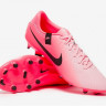 Бутси Nike LEGEND 10 ACADEMY FG/MG DV4337-601
