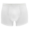 Труси-боксери Head BASIC BOXER 2P білий Чол S 841001001-300
