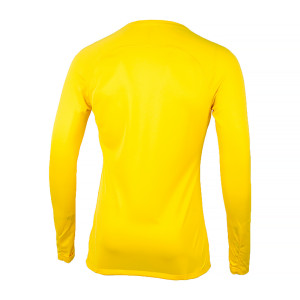 Термокофта Nike M NK DF PARK 1STLYR JSY LS AV2609-719