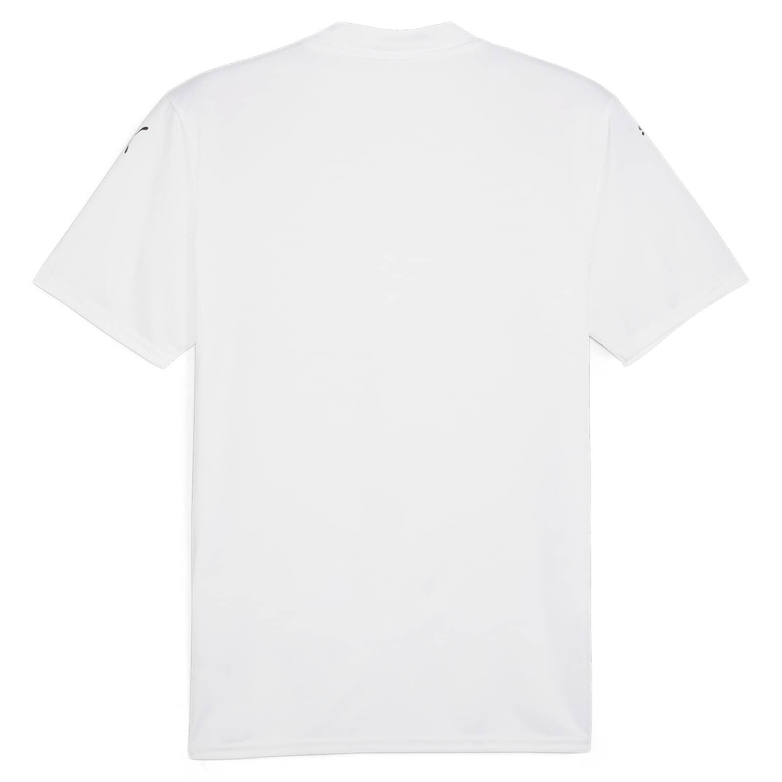 Футболка Puma teamGLORY Jersey 705740-04