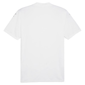 Футболка Puma teamGLORY Jersey 705740-04