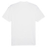 Футболка Puma teamGLORY Jersey 705740-04