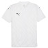 Футболка Puma teamGLORY Jersey 705740-04