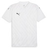 Футболка Puma teamGLORY Jersey 705740-04