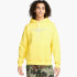 Кофта Nike SB Fleece Gen Trademark Logo yellow strike DR1028-765